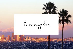 Los_Angeles_city_view copy